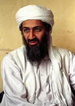 Osama bib Laden