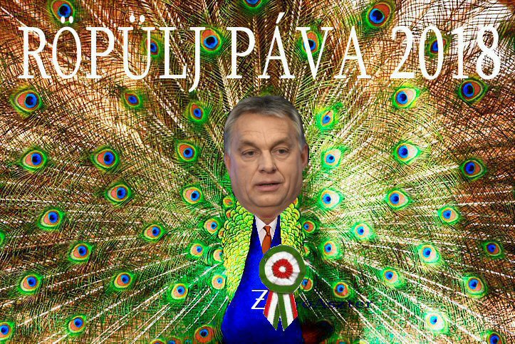 Orbán Viktor - Pávatánc